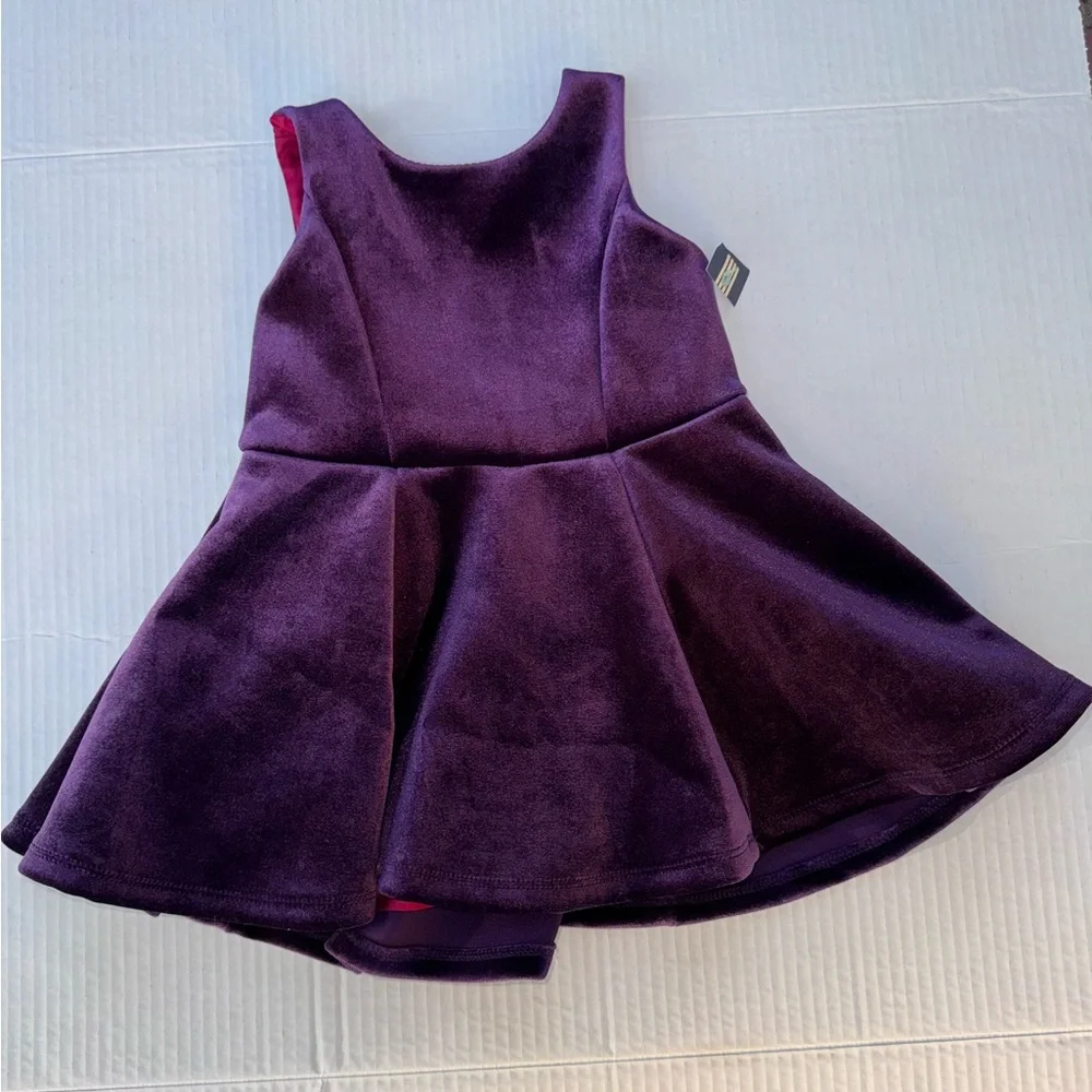Girls Velvet Purple Twirl Dress